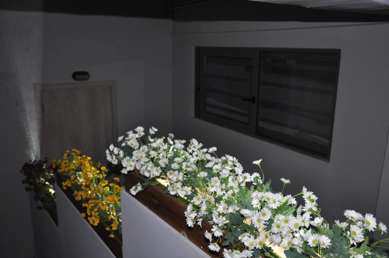 Mirma Halepa Superior Studio Chania  Ngoại thất bức ảnh